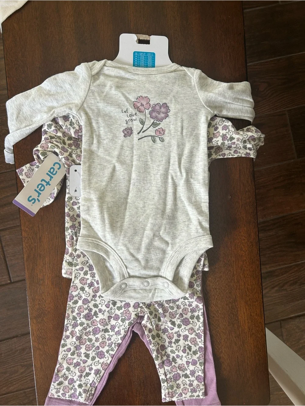 Carter's Gray and Purple Floral Baby Bodysuit & Pants Set